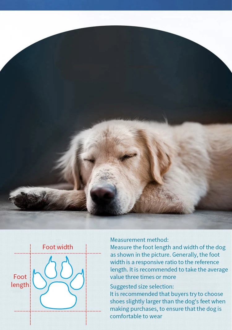 Waterproof Dog Rain Boots – Protect Your Dog’s Paws from Mud, Heat & Ice