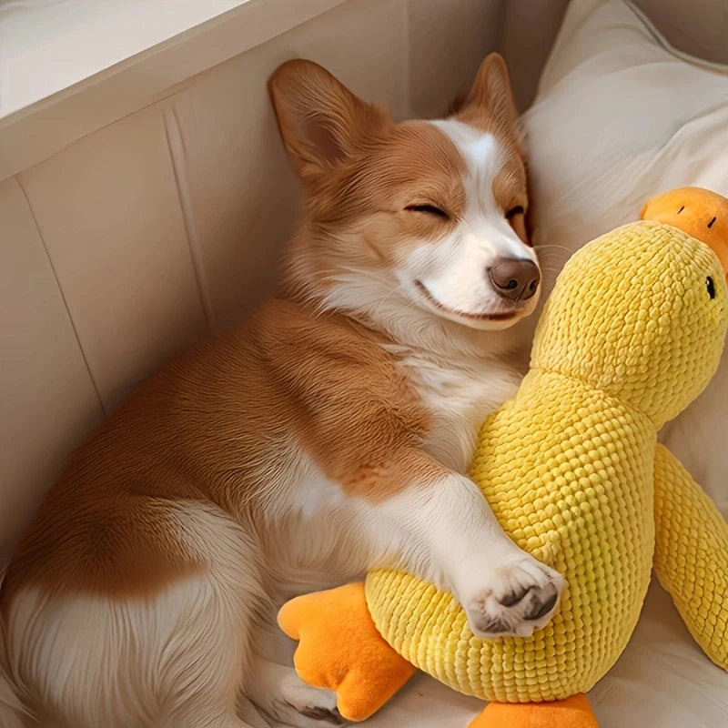 Calming Duck Dog Toy – For Dogs That Hate Being Left Alone