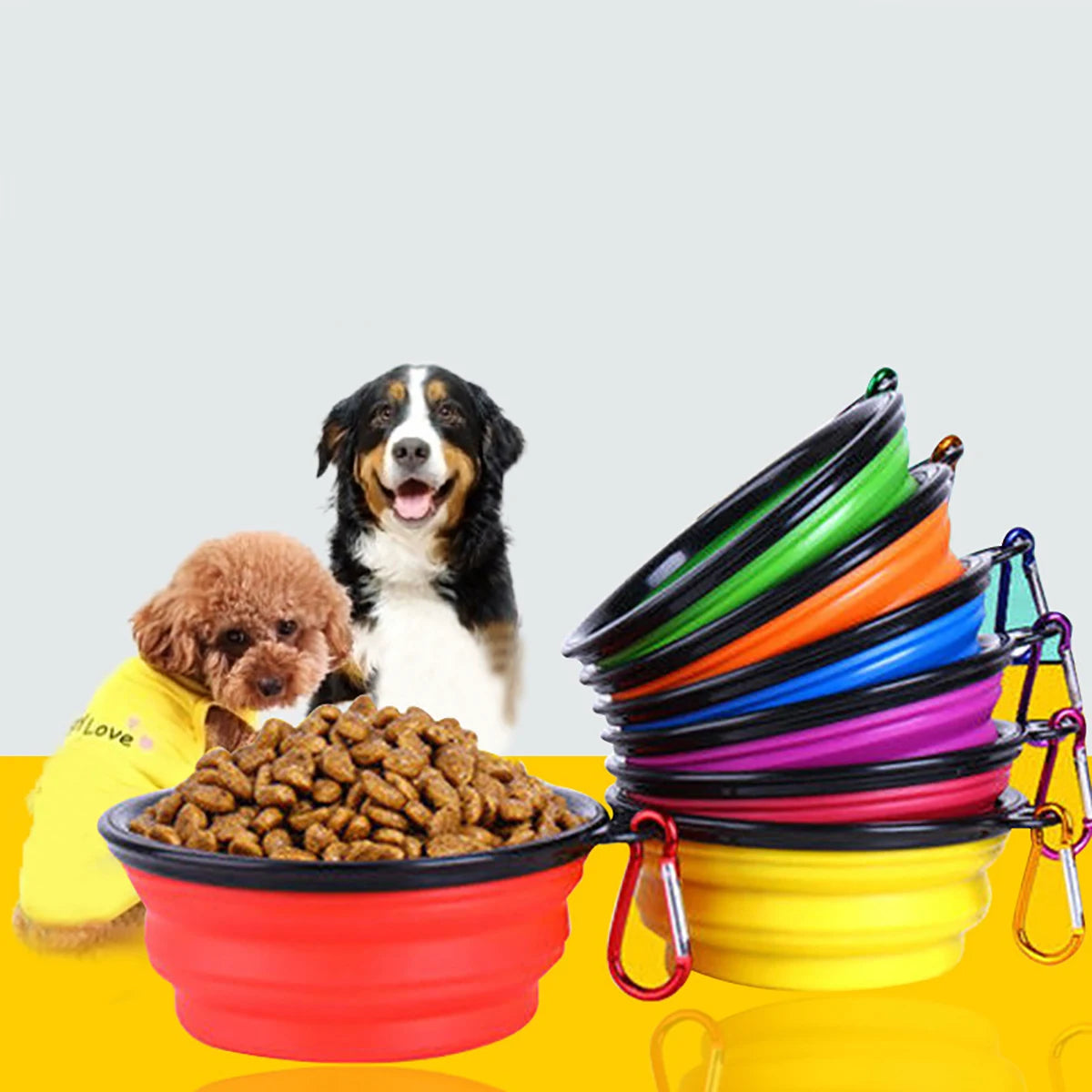Collapsible Pet Bowl – Never Leave Home Without Water for Your Pet Again