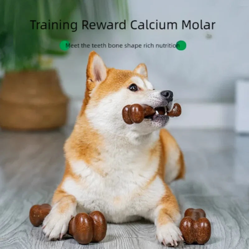 Natural Wood Dog Bone – The Last Chew Toy You’ll Ever Need to Buy