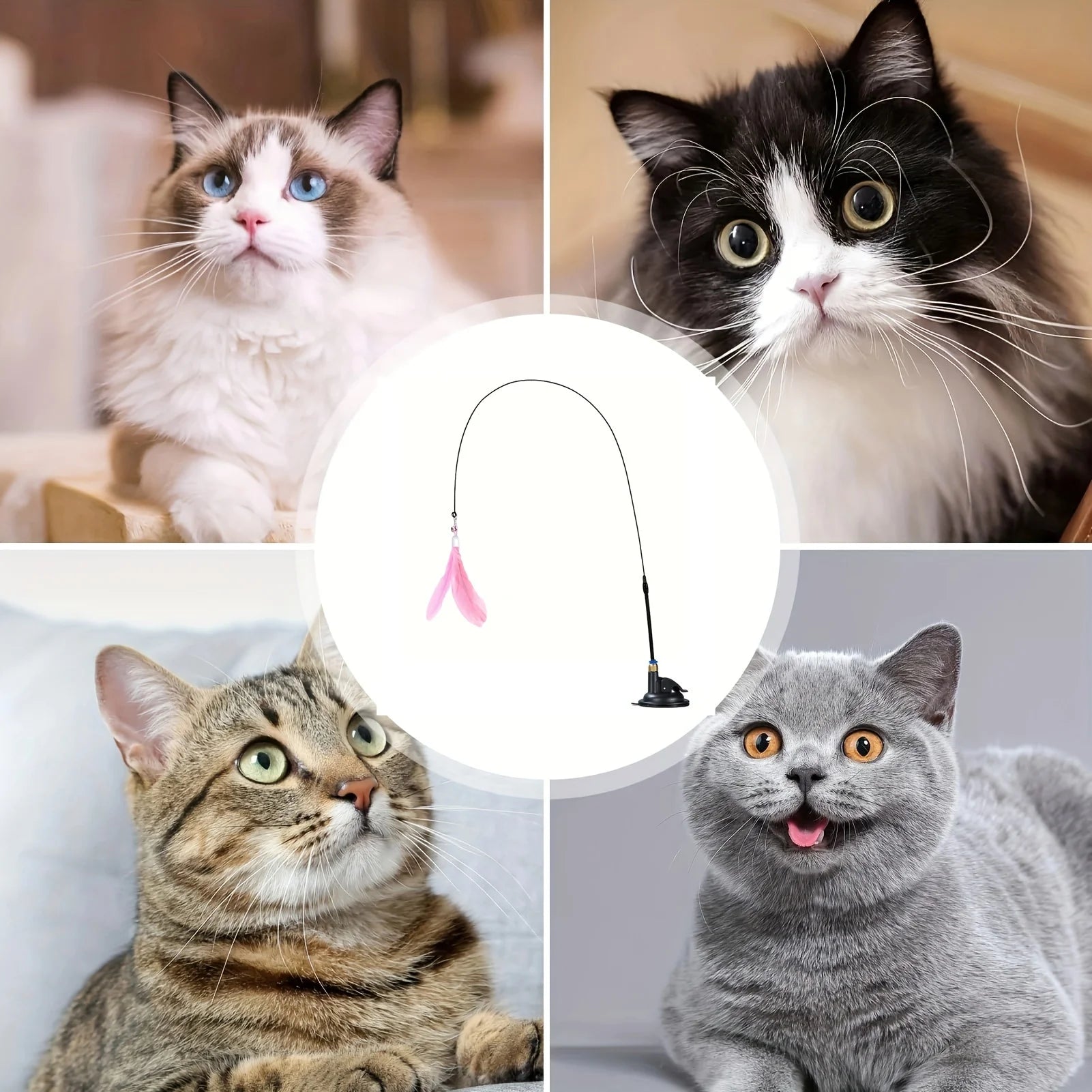 Cat Teaser Stick – Keep Your Cat Active Even When You’re Busy