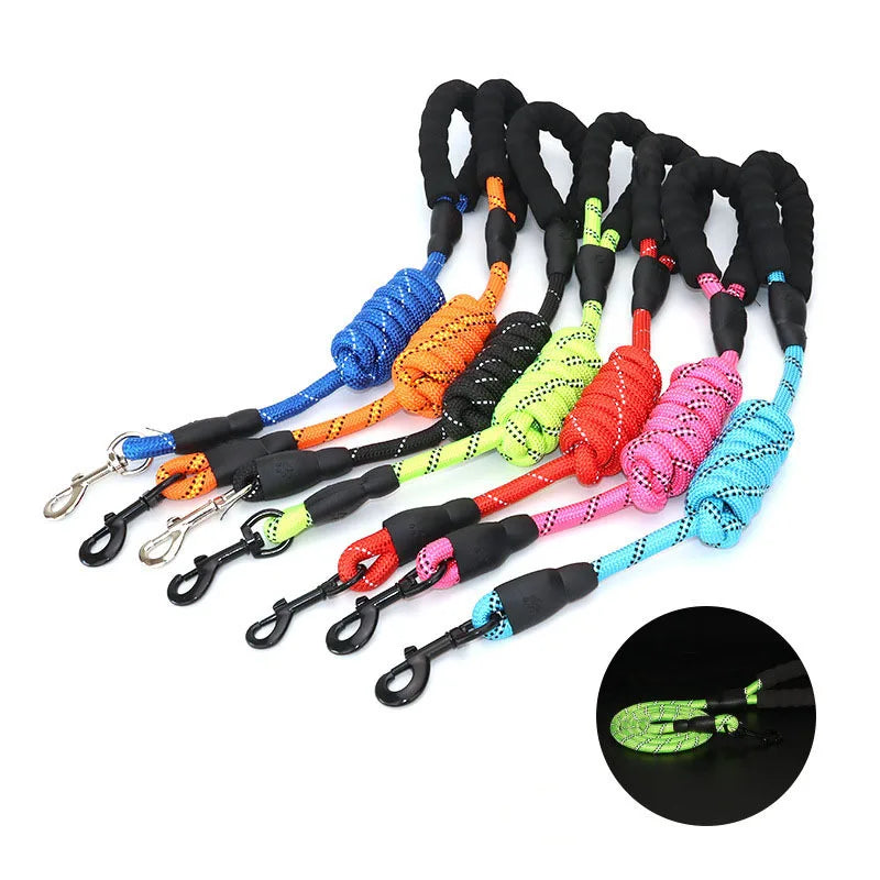 Reflective Dog Leash – Walk Safely at Night Without Worrying About Traffic