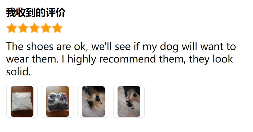 Waterproof Dog Rain Boots – Protect Your Dog’s Paws from Mud, Heat & Ice
