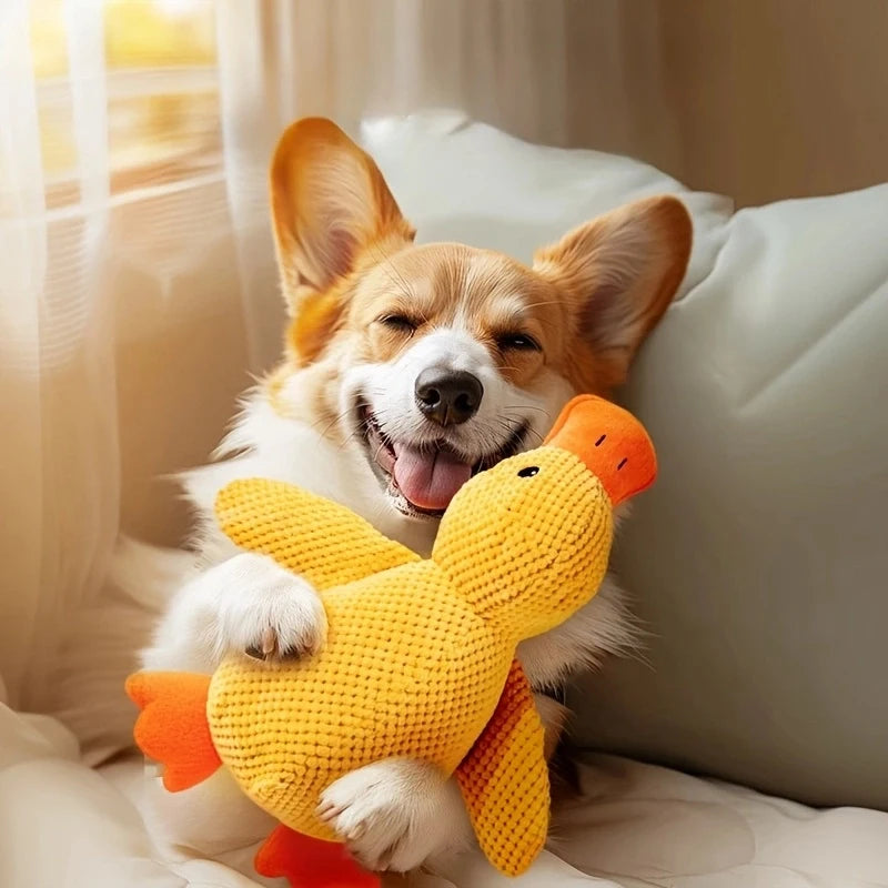 Calming Duck Dog Toy – For Dogs That Hate Being Left Alone
