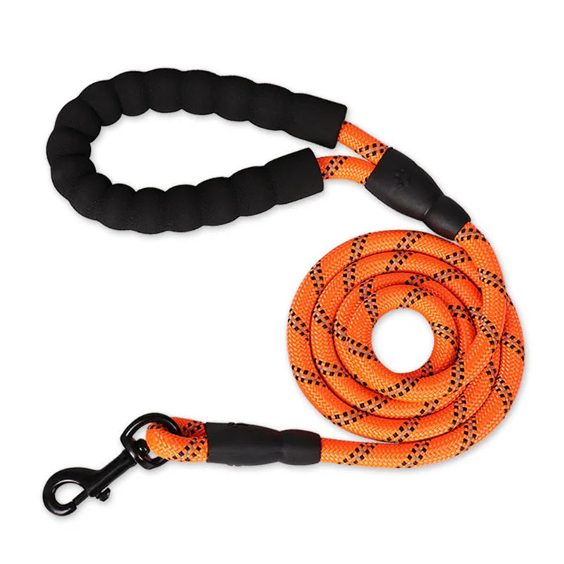 Reflective Dog Leash – Walk Safely at Night Without Worrying About Traffic