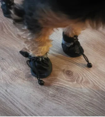 Waterproof Dog Rain Boots – Protect Your Dog’s Paws from Mud, Heat & Ice